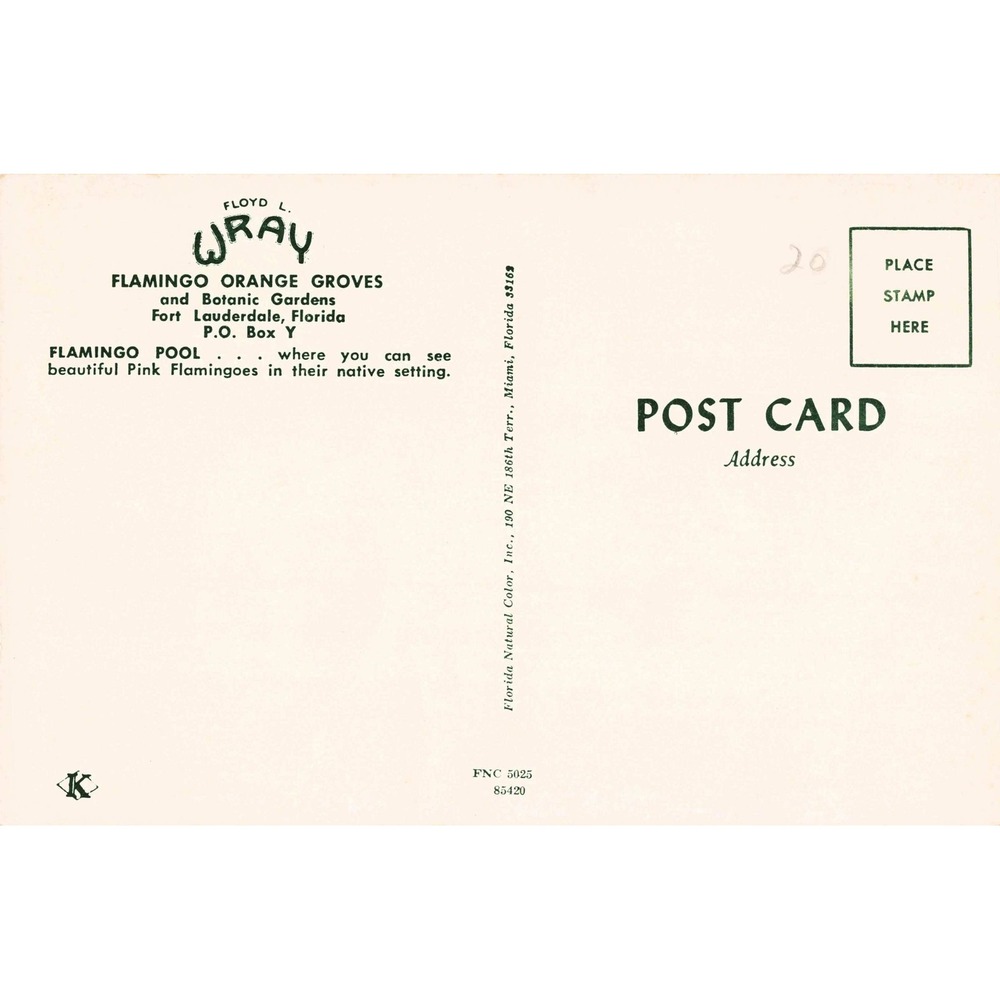 Vtg Floyd L Wray Flamingo Orange Groves Postcard Fort Lauderdale Florida FL - Picture 2 of 2